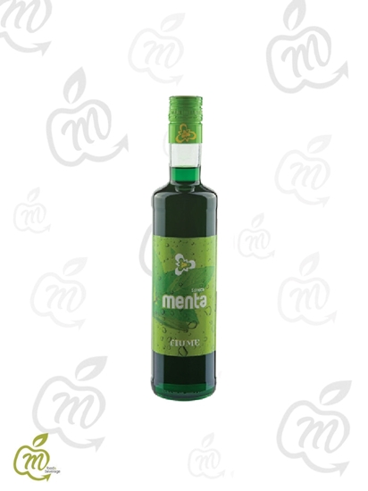 Immagine di FIUME SCIROPPO MENTA CL 50