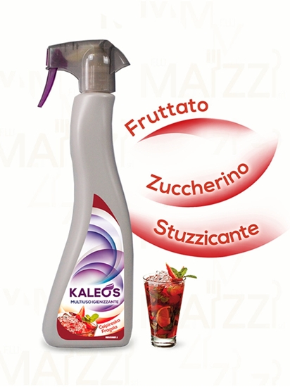 Immagine di KALEOS MULTIUSO IGIEN. CAPIROSKA ML 500 X 6 bt