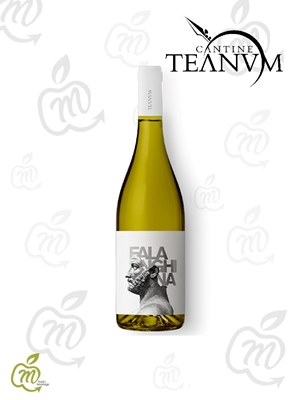 Immagine di TEANUM FAVUGNE IGP BIANCO FALANG. CL 75X6 bt