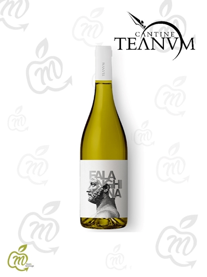 Immagine di TEANUM FAVUGNE IGP BIANCO FALANG. CL 75X6 bt