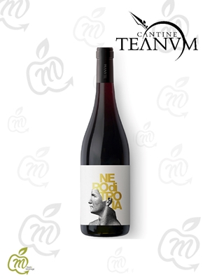 Immagine di TEANUM FAVUGNE IGP ROSSO NERO DI TROIA CL 75X6 bt