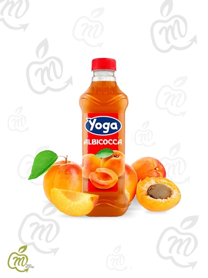 Immagine di YOGA SUCCO ALBICOCCA CL 100 X 6 bt