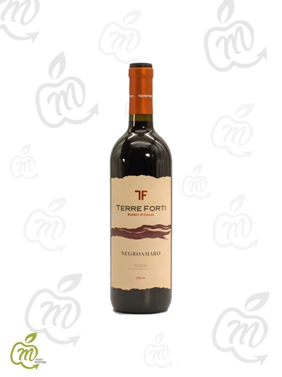 Immagine di TERRE FORTI NEGROAMARO IGT CL 75 X 6 bt