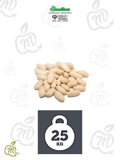 Immagine di CASILLO CANNELL. GIG. ARGENTINA KG 25