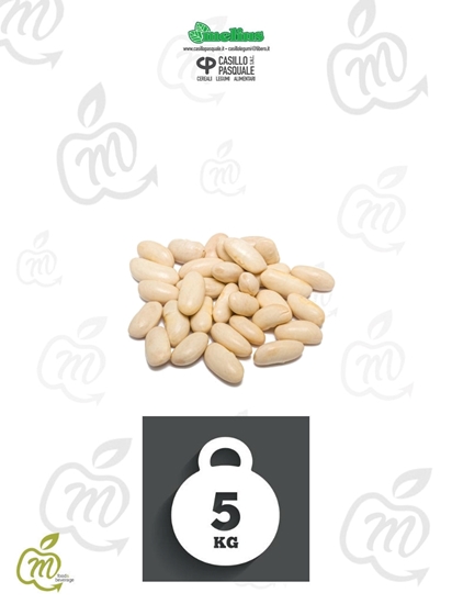 Immagine di CASILLO CANNELL. GIG. KG 5