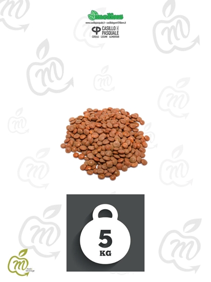 Immagine di CASILLO LENTICCHIE ROSSE KG 5
