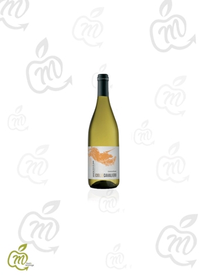 Immagine di TOLLO COLLE CAVALIERI IGP PECORINO ML 375X12 bt