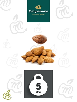 Immagine di CAMPOBASSO MANDORLE SGUSC. 34/36 SPAGNA KG 5