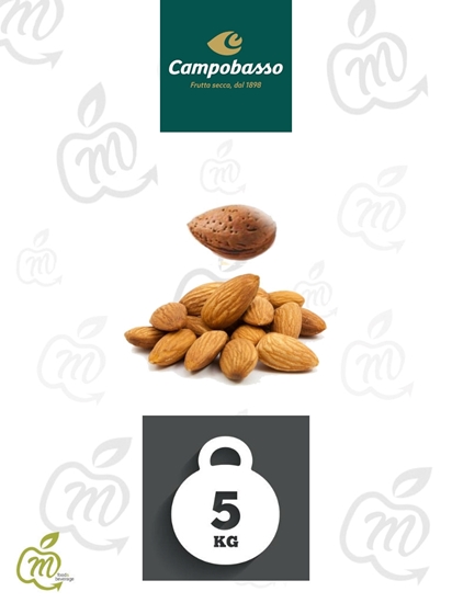 Immagine di CAMPOBASSO MANDORLE SGUSC. 34/36 SPAGNA KG 5