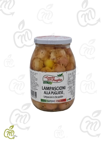 Immagine di GUSTO DELLA PUGLIA OG ML 1062 LAMPASCIONI (CT 9pz)